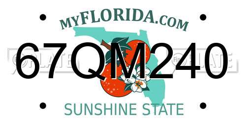67QM240 Florida License Plate