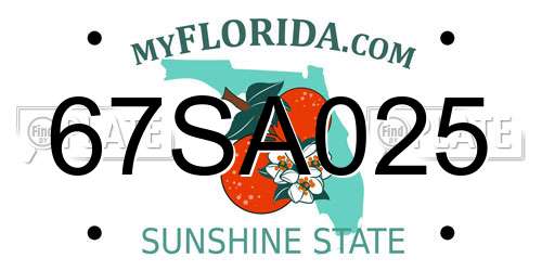 67SA025 Florida License Plate