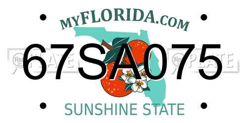 67SA075 Florida License Plate