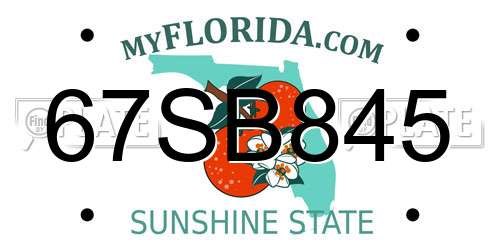 67SB845 Florida License Plate