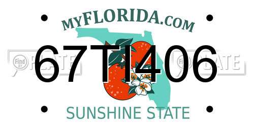 67TI406 Florida License Plate