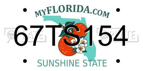 67TS154 Florida License Plate