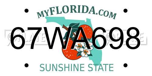 67WA698 Florida License Plate