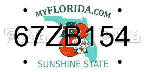 67ZB154 Florida License Plate