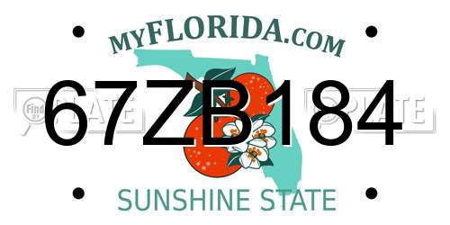 67ZB184 Florida License Plate