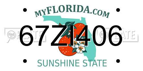 67ZI406 Florida License Plate