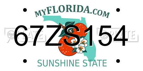 67ZS154 Florida License Plate
