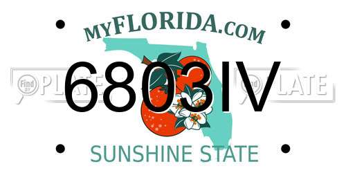 6803IV Florida License Plate