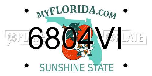 6804VI Florida License Plate