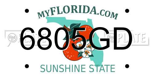 6805GD Florida License Plate