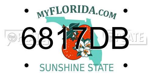 6817DB Florida License Plate