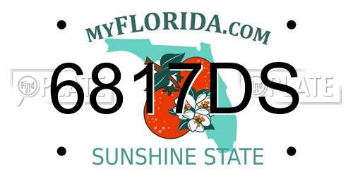 6817DS Florida License Plate