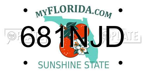 681NJD Florida License Plate