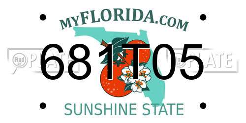 681T05 Florida License Plate
