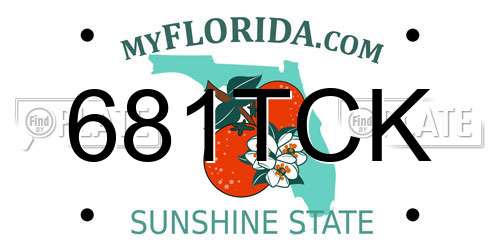 681TCK Florida License Plate