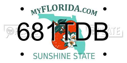681TDB Florida License Plate
