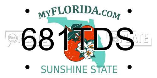 681TDS Florida License Plate