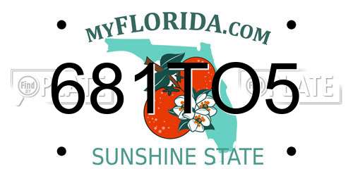 681TO5 Florida License Plate