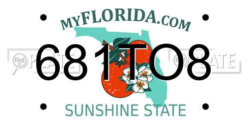 681TO8 Florida License Plate