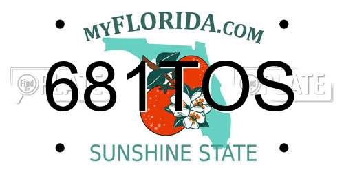 681TOS Florida License Plate