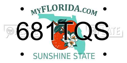 681TQS Florida License Plate