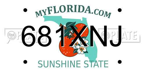 681XNJ Florida License Plate