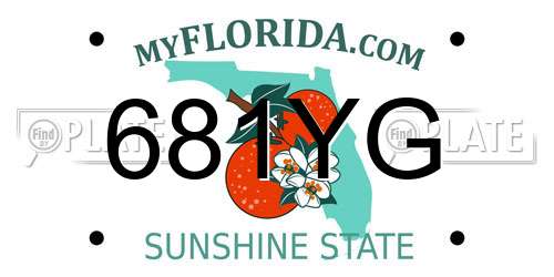 681YG Florida License Plate