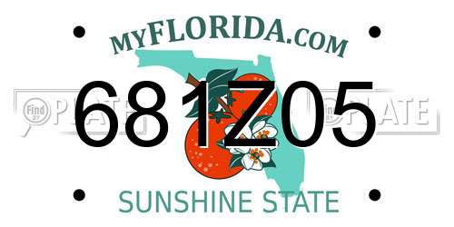 681Z05 Florida License Plate