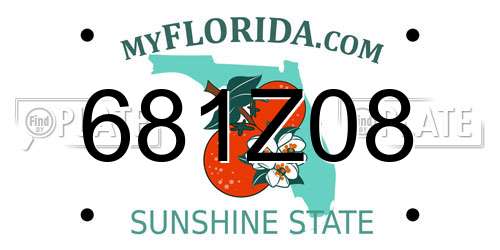681Z08 Florida License Plate