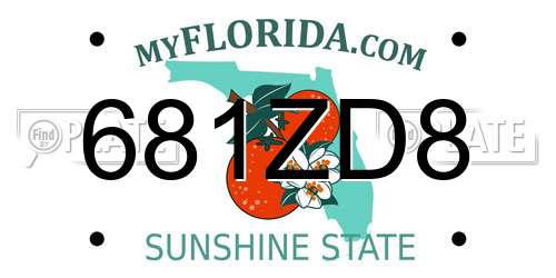 681ZD8 Florida License Plate