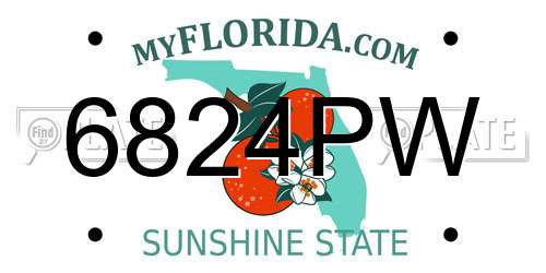 6824PW Florida License Plate