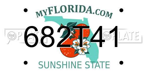 682T41 Florida License Plate