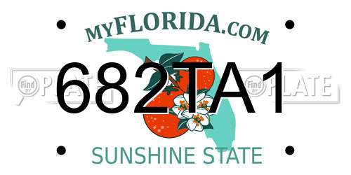 682TA1 Florida License Plate