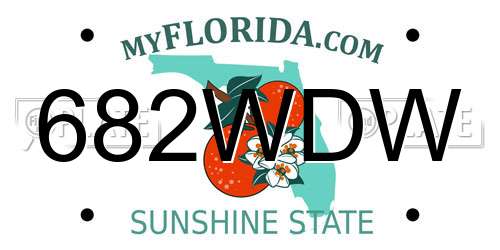 682WDW Florida License Plate