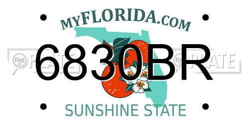 6830BR Florida License Plate