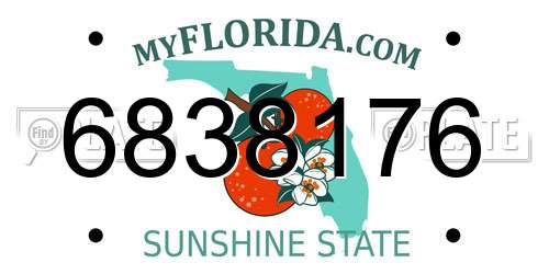 6838176 Florida License Plate