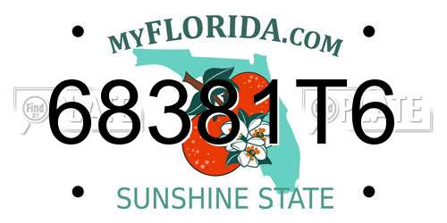 68381T6 Florida License Plate