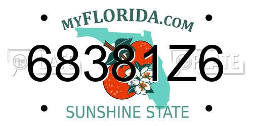 68381Z6 Florida License Plate