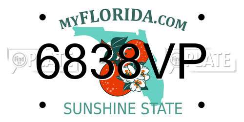 6838VP Florida License Plate