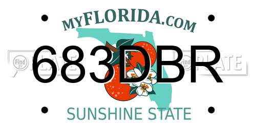 683DBR Florida License Plate