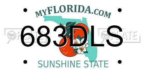 683DLS Florida License Plate