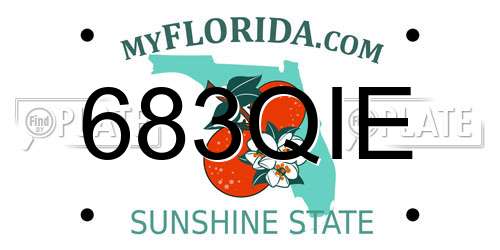 683QIE Florida License Plate