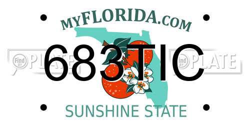 683TIC Florida License Plate