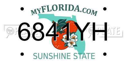 6841YH Florida License Plate