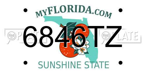 6846TZ Florida License Plate