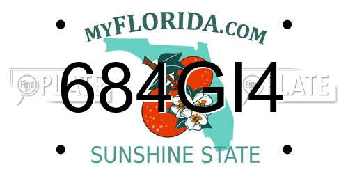 684GI4 Florida License Plate