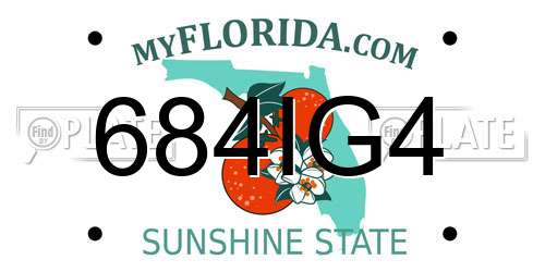 684IG4 Florida License Plate