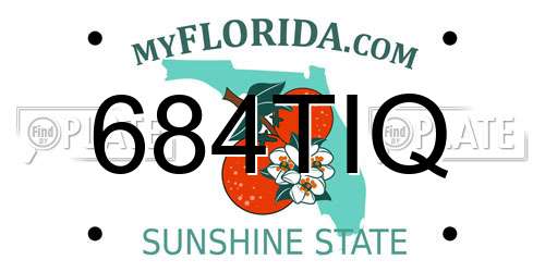 684TIQ Florida License Plate