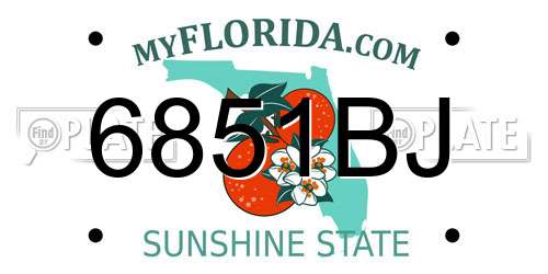 6851BJ Florida License Plate