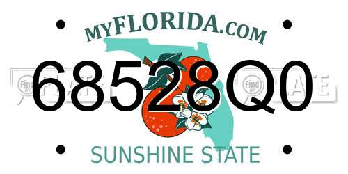 68528Q0 Florida License Plate